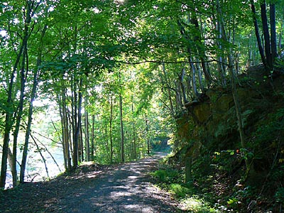 Backyard trail